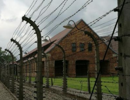 緊線器參與監(jiān)獄外圍高壓金屬網(wǎng)線安裝工作